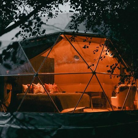 ホテル Teapot Lane Glamping - Adults Only スライゴ エクステリア 写真